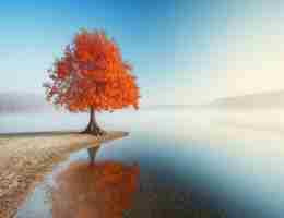 python编‍程﻿基‍础‍及‌应﻿用​课﻿后﻿答‌案​高‍等﻿教‌育‍出​版‍社﻿