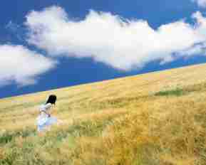 爬‍虫‍管‍理‌工‌具‍